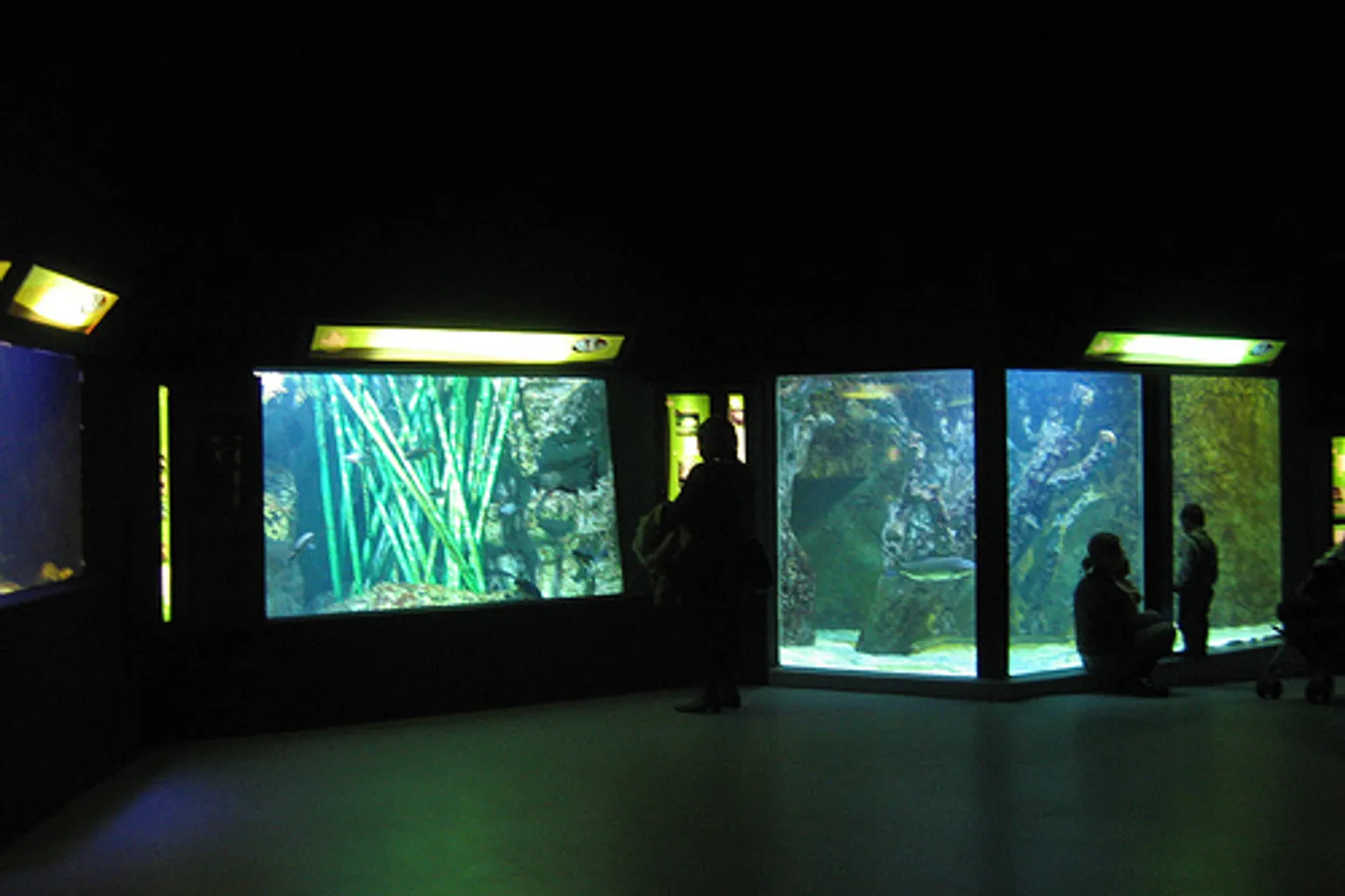 Billets pour l'Aquarium de Lyon : pourquoi réserver en ligne ?