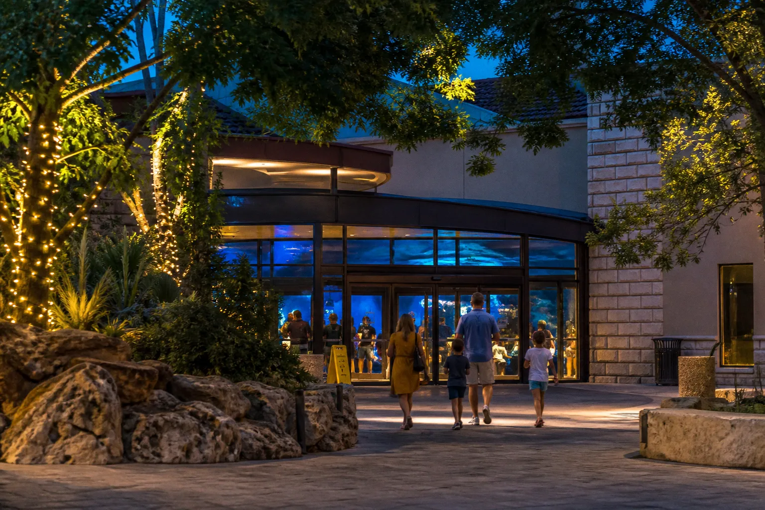 Billets SEA LIFE San Antonio : guide complet pour réserver