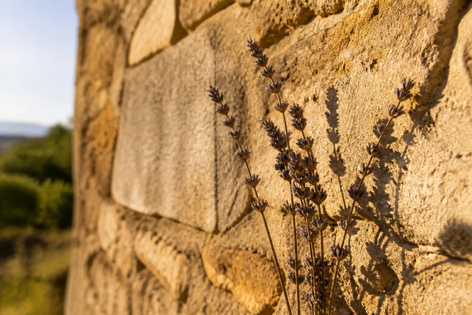 Exposition d'un domaine en Provence : l'impact sur vos photos