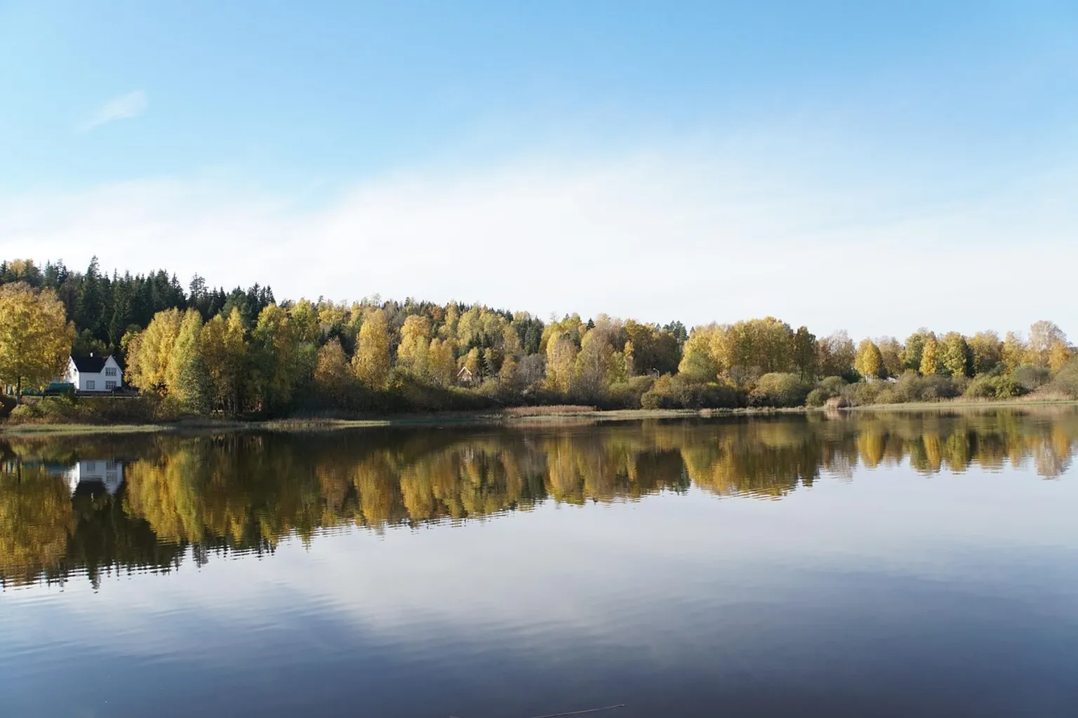 Forest Lagoon à Akureyri : comment réserver ?
