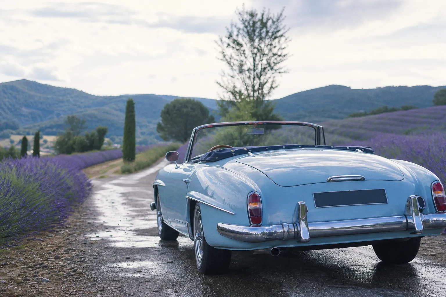 Franchise de location de voiture de mariage : le guide