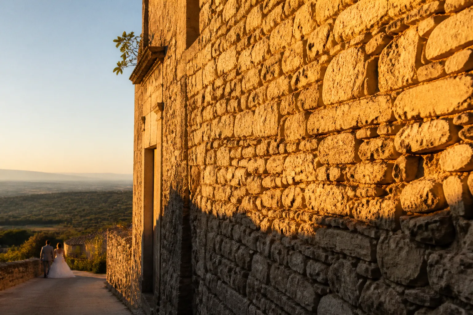 Lumière dorée en Provence : pourquoi elle sublime vos photos