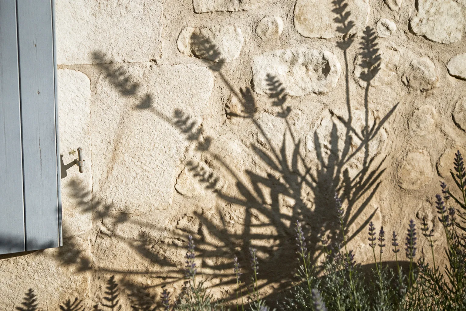 Lumière dure en Provence : l'art de la retouche photo