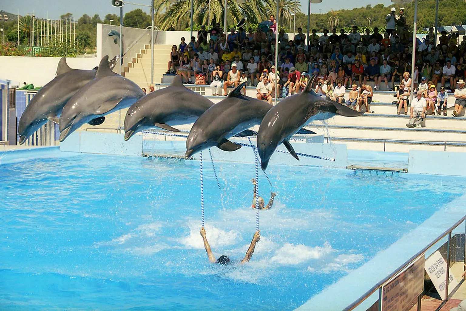 Marineland Majorque tarifs : le guide pour s'y retrouver